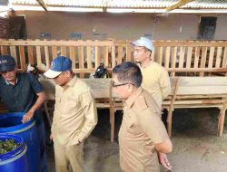 Inspektorat Sulbar Lakukan Monitoring Penyaluran Bantuan Kambing di Polman