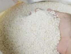 Harga Beras di Polman Masi Tinggi, Pemerintah Diminta Turun  Tangan