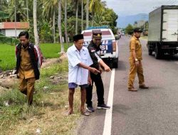 Diduga Diserempet Mobil, Kakek 70 Tahun Tewas Usai Terjatuh di Jalan Poros Trans Sulawesi