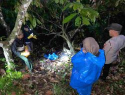 Mayat Petani Ditemukan di Kebun Coklat Desa Pulliwa, Diduga Jatuh ke Jurang