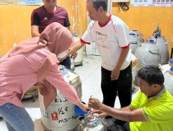 Genjot Program IB, Dinas TPHP Sulbar Salurkan 850 Dosis Semen Beku ke Peternak Majene