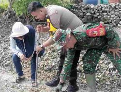 Sinergi Polisi dan Petani: Bhabinkamtibmas Banggae Dorong Ketahanan Pangan Lewat Jagung Hibrida